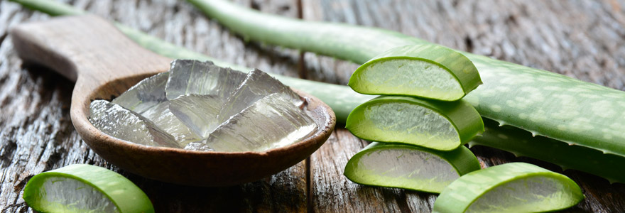 bienfaits l'aloe vera