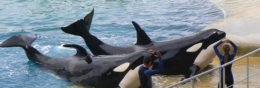 Marineland d'Antibes